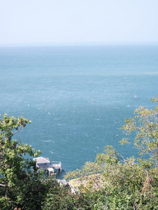 天空 波浪 傍晚 旅游业 霍利森 棕榈 风景 自然 海景