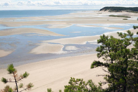 大西洋 森林 海岸线 斗篷 海岸 美国 马萨诸塞州 海湾