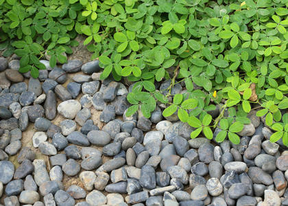 纹理 自然 地质学 岩石 花园 矿物 卵石 后院 花岗岩