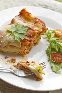 千层饼意大利奶酪千层面;意大利奶酪千层饼;照片