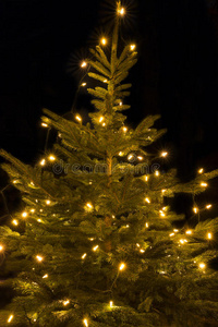 十二月 外部 季节 照亮 射击 圣诞节 冬天 美丽的 照明