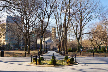 新的 生活 纽约市 公园 历史 纽约大学 城市 地标 邻里