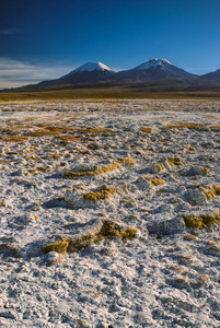 风景 玻利维亚 高原 自然 公园 柚子 国家的 旅行 火山