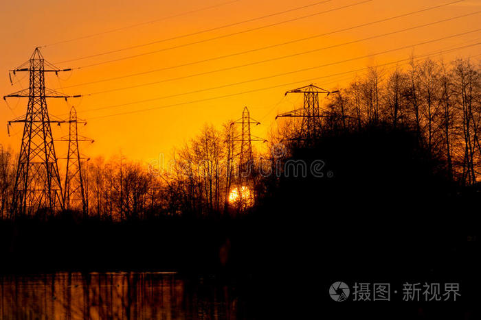 轮廓 反思 太阳 可怜虫 美丽的 展示 前景 包围 他们的