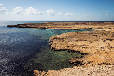 颜色 海湾 美女 埃及 岩石 旅游业 海的 非洲 西奈 海滩