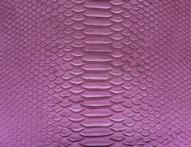 蛇皮照片