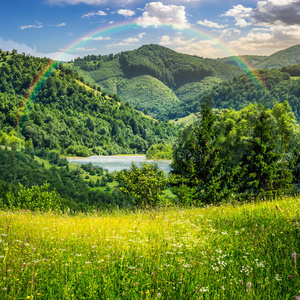 草地 森林 旅游业 天空 小山 颜色 风景 植物 季节 欧洲