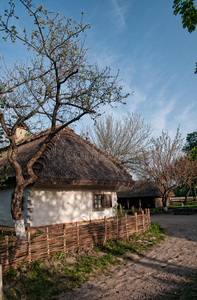 古董 小屋 场景 栅栏 外观 春天 屋顶 樱桃 古老的 黏土