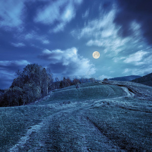 夜晚乡村小路图片图片