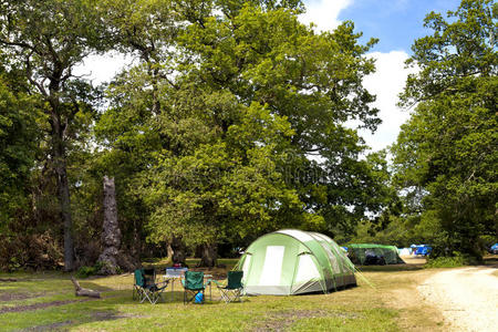 森林露营地点的绿色帐篷