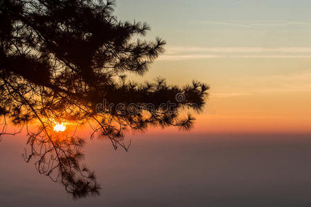 颜色 早晨 美女 浪漫的 射线 风景 自然 美丽的 天空