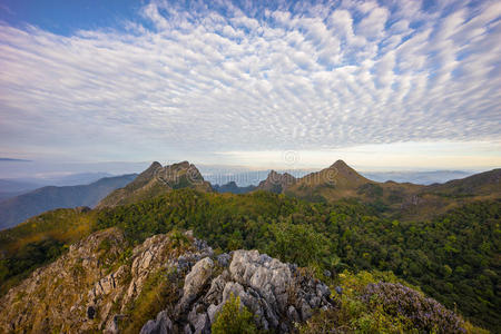 美丽的 早晨 岩石 清迈 阴影 风景 纹理 泰国 植物 日光