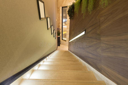 活的 入口 房间 房地产 公寓 木材 房子 走廊 建筑学