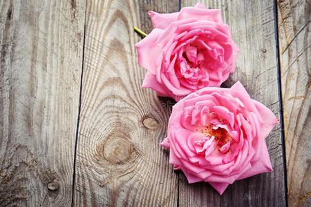 粉红色 庆祝 浪漫 花束 花的 植物区系 特写镜头 优雅