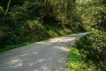 在阳光明媚的冬天弯曲山坡路照片