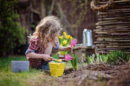 女孩在春天的花园里种粉红色的风信子花