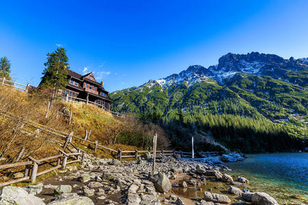 极端 欧洲 秋天 夏天 旅行 高的 一点点 春天 公园 眼睛