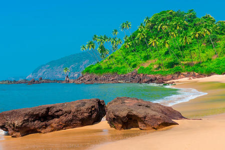 放松 场景 棕榈 天空 情景 风景 边缘 海湾 遥远的 美丽的