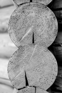 关闭两个切割木材原木，黑色和白色