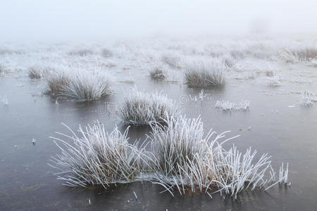 在冬天的一天,把带着霜冻的草草地照片