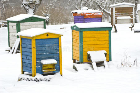 五颜六色的木制蜂箱在冬天的花园里下雪