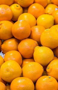 农业 水果 柑橘 果汁 橘子 健康 美味的 饮食 市场 维生素