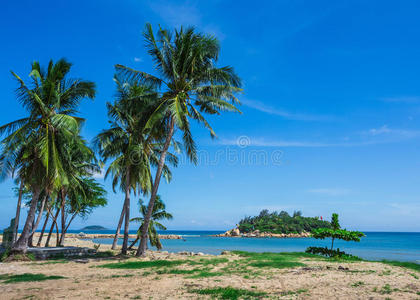 海岸 夏天 美丽的 天堂 太阳 兰卡 泻湖 椰子 海滩 海湾