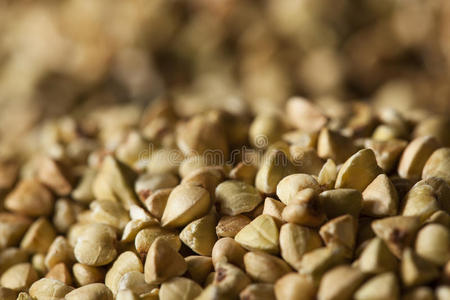 大米 作物 饮食 荞麦 腹股沟 小麦 食物 营养 纤维 自然