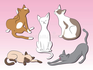 一群猫图片