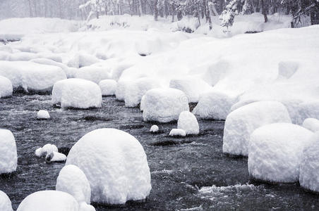 美丽的 覆盖 风景 雪堆 圣诞节 一月 寒冷的 森林 省份