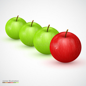 饮食 美味的 作物 插图 苹果 医疗保健 领导 颜色 水果