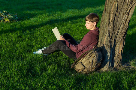 自然 外部 森林 笔记本电脑 男人 键盘 公园 成人 夏天