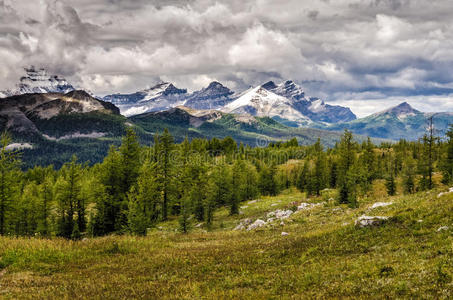 反射 阿尔卑斯山 公司 加拿大人 攀登 加拿大 森林 自然