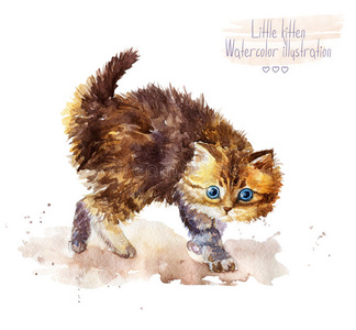 插图 可爱的 有趣的 美丽的 水彩 艺术 肖像 童年 小猫