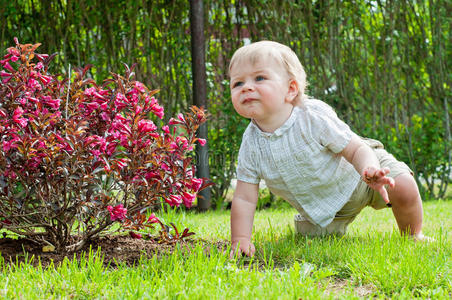 小男孩坐在粉红色的灌木丛附近