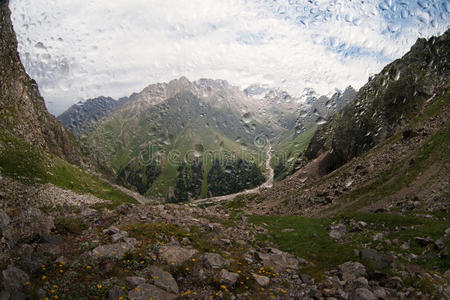 悬崖 森林 环境 雨滴 风景 薄雾 液滴 玻璃 自然 凝结水