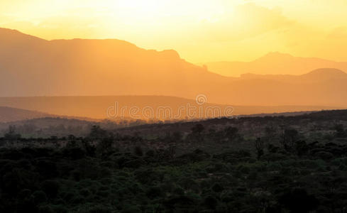 非洲热带草原日落