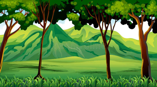 树木和山脉