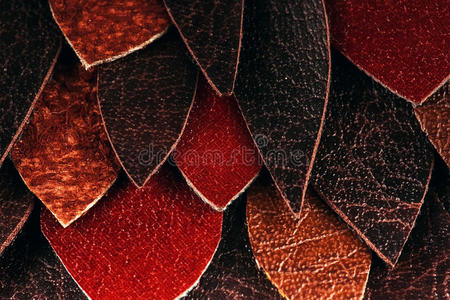 形象 要素 美女 颜色 复制 树叶 织物 自然 时尚 摄影