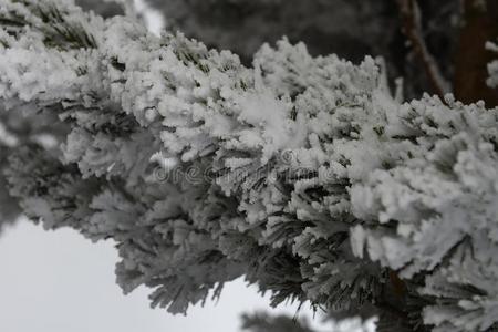 雪山