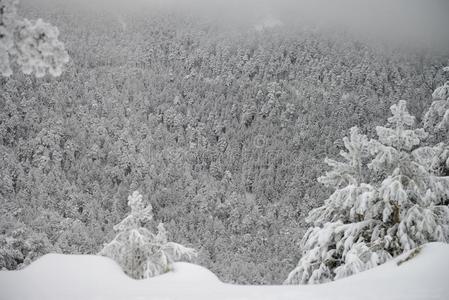 冬季景观