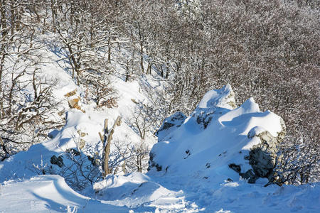 场景 一月 照明 下雪 覆层 徒步旅行 阴影 主题 寒冷的