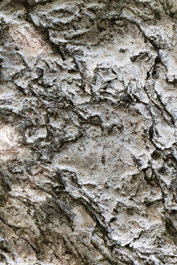 粗糙不寻常风化的石头背景纹理