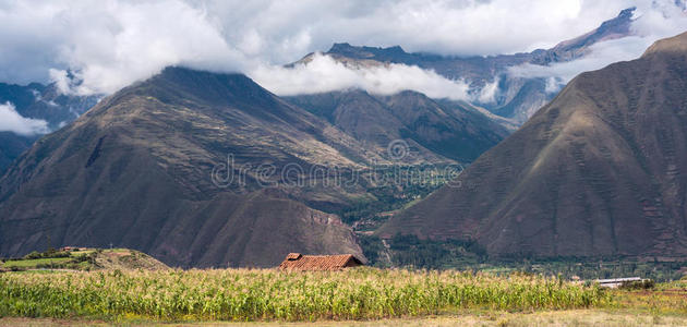 小山 美国 极端 印加 自然 森林 领域 颜色 天空 安第斯山脉