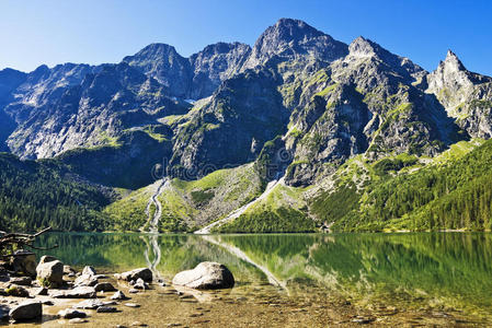 公园 欧洲 假期 自然 高的 场景 高峰 小山 塔特拉 山谷