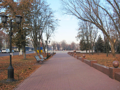 秋天城市公园里的长凳和小路