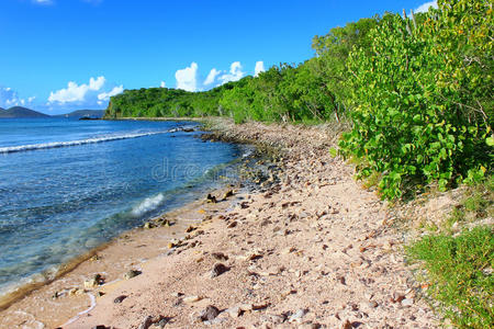 小海湾 风景 海滨 海洋 假日 英属维尔京群岛 瑟伦 加勒比