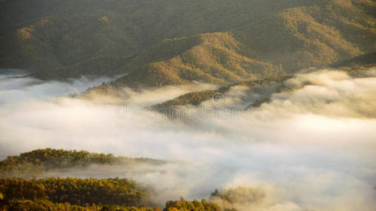 美女 自然 落下 天空 草地 植物区系 季节 树叶 颜色