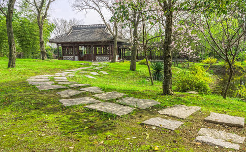 外部 人行道 瓷器 建筑 中国人 植物学 后院 曲线 灌木