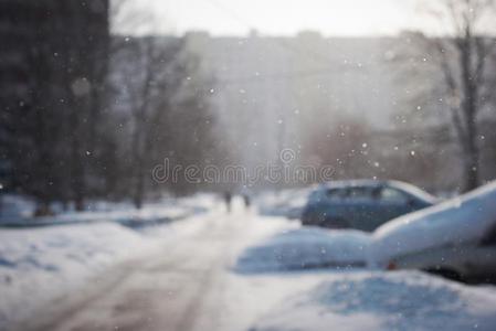 城市里飘落的雪花